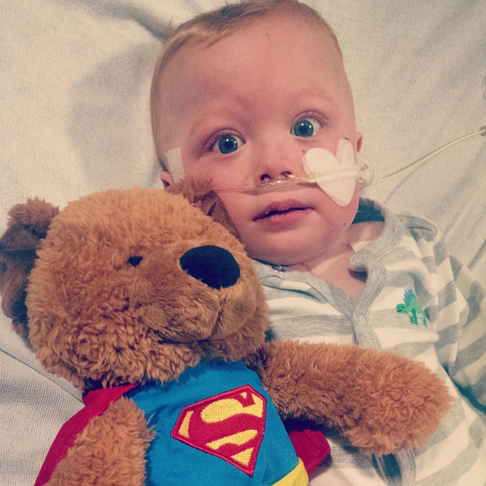 Ben with superman bear